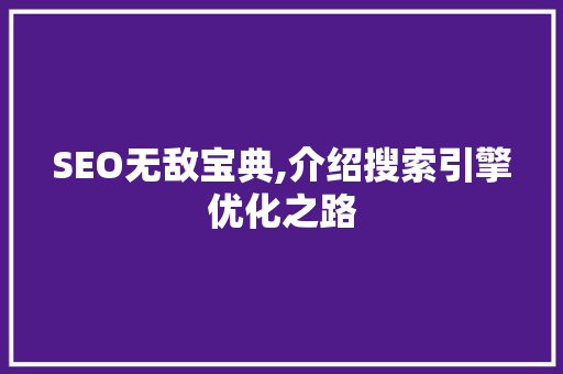 SEO无敌宝典,介绍搜索引擎优化之路