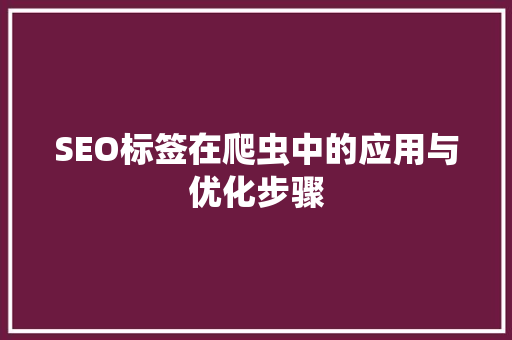 SEO标签在爬虫中的应用与优化步骤