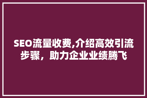 SEO流量收费,介绍高效引流步骤，助力企业业绩腾飞