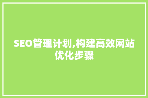 SEO管理计划,构建高效网站优化步骤