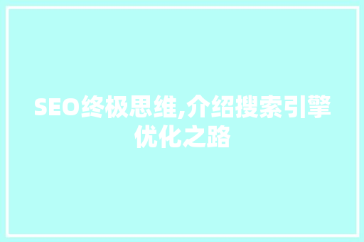 SEO终极思维,介绍搜索引擎优化之路  第1张