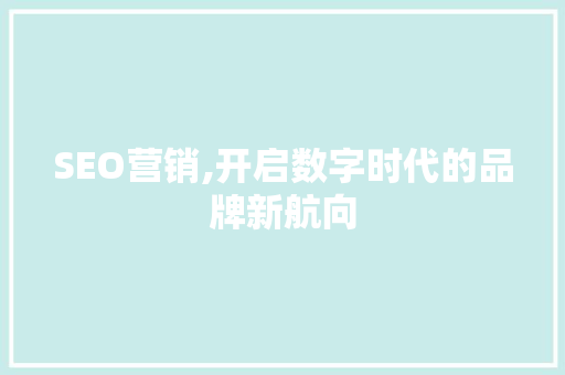 SEO营销,开启数字时代的品牌新航向