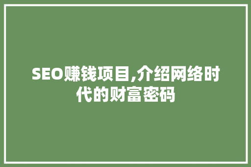 SEO赚钱项目,介绍网络时代的财富密码