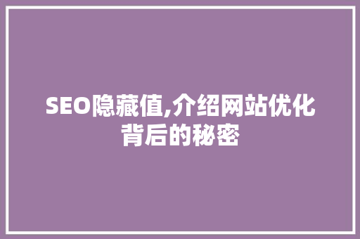 SEO隐藏值,介绍网站优化背后的秘密