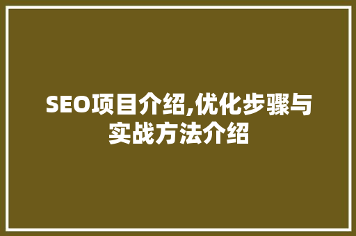 SEO项目介绍,优化步骤与实战方法介绍