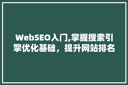 WebSEO入门,掌握搜索引擎优化基础，提升网站排名