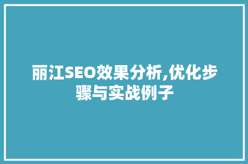 丽江SEO效果分析,优化步骤与实战例子