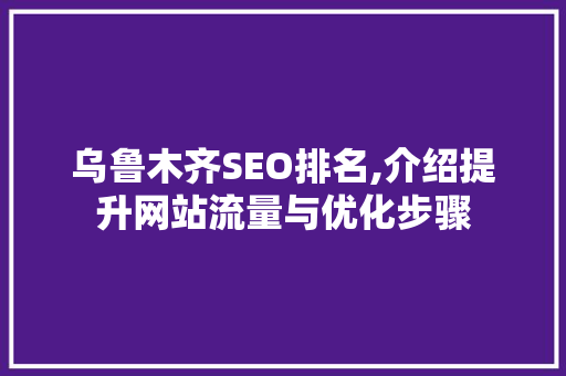 乌鲁木齐SEO排名,介绍提升网站流量与优化步骤