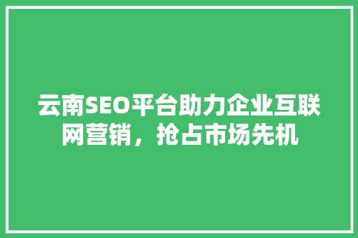 云南SEO平台助力企业互联网营销，抢占市场先机