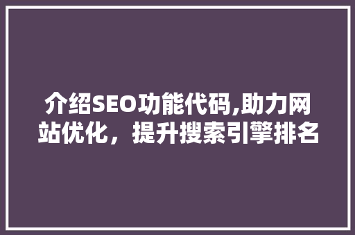 介绍SEO功能代码,助力网站优化，提升搜索引擎排名