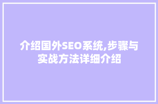 介绍国外SEO系统,步骤与实战方法详细介绍