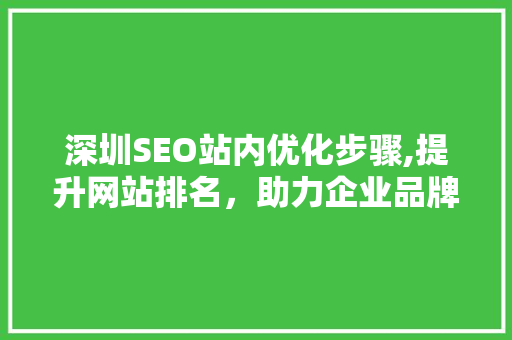 深圳SEO站内优化步骤,提升网站排名，助力企业品牌崛起