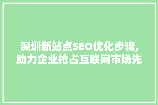 深圳新站点SEO优化步骤,助力企业抢占互联网市场先机