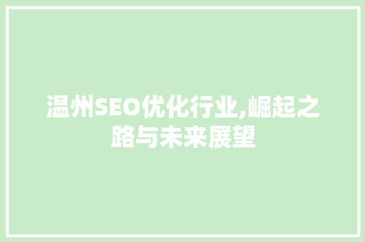 温州SEO优化行业,崛起之路与未来展望