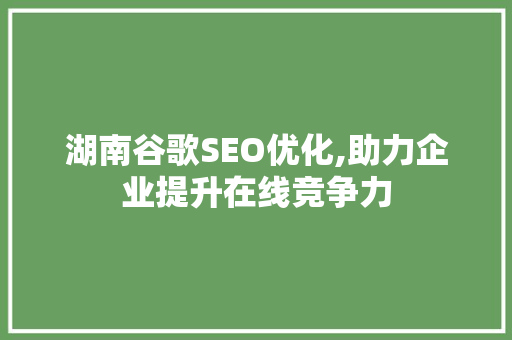 湖南谷歌SEO优化,助力企业提升在线竞争力
