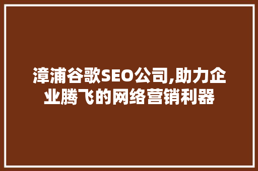漳浦谷歌SEO公司,助力企业腾飞的网络营销利器