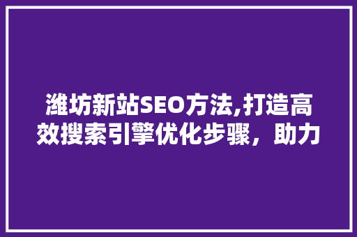 潍坊新站SEO方法,打造高效搜索引擎优化步骤，助力网站腾飞