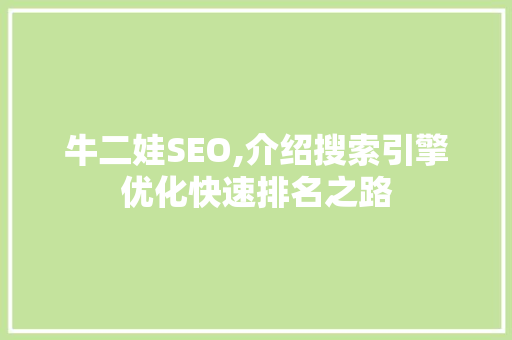 牛二娃SEO,介绍搜索引擎优化快速排名之路