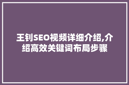 王钊SEO视频详细介绍,介绍高效关键词布局步骤