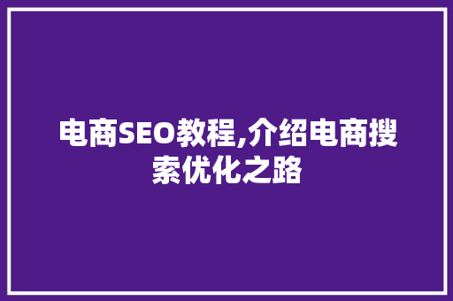 电商SEO教程,介绍电商搜索优化之路