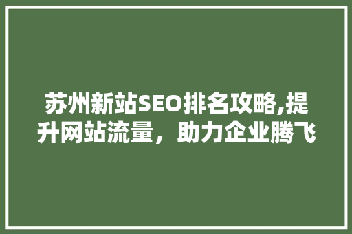 苏州新站SEO排名攻略,提升网站流量，助力企业腾飞