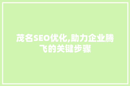 茂名SEO优化,助力企业腾飞的关键步骤  第1张