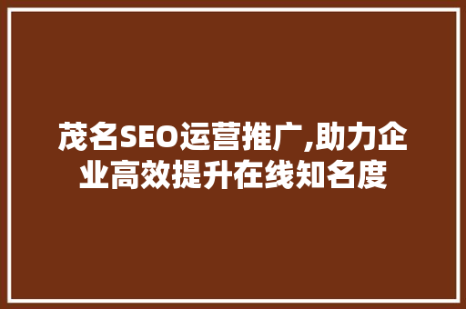 茂名SEO运营推广,助力企业高效提升在线知名度