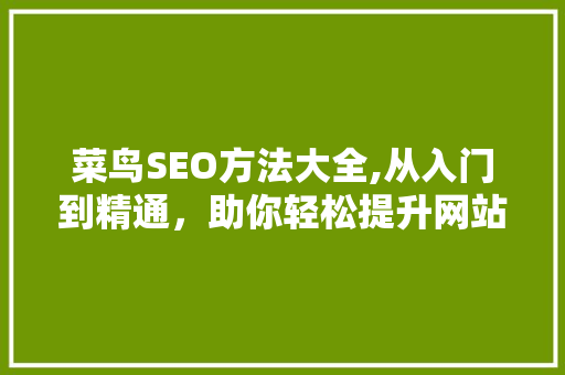 菜鸟SEO方法大全,从入门到精通，助你轻松提升网站排名