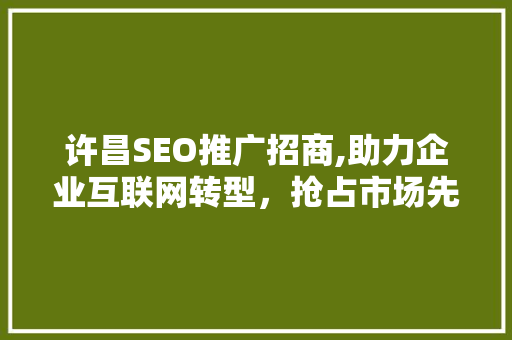 许昌SEO推广招商,助力企业互联网转型，抢占市场先机