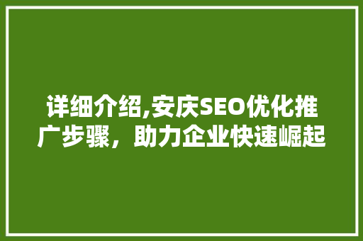 详细介绍,安庆SEO优化推广步骤，助力企业快速崛起