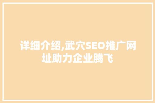 详细介绍,武穴SEO推广网址助力企业腾飞