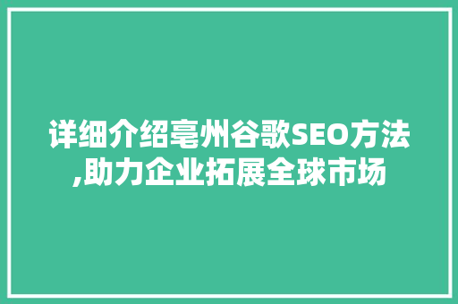 详细介绍亳州谷歌SEO方法,助力企业拓展全球市场