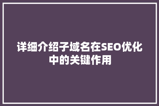 详细介绍子域名在SEO优化中的关键作用