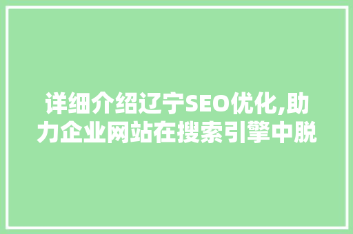 详细介绍辽宁SEO优化,助力企业网站在搜索引擎中脱颖而出