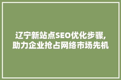 辽宁新站点SEO优化步骤,助力企业抢占网络市场先机