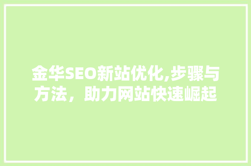 金华SEO新站优化,步骤与方法，助力网站快速崛起