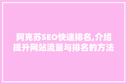 阿克苏SEO快速排名,介绍提升网站流量与排名的方法