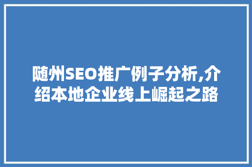 随州SEO推广例子分析,介绍本地企业线上崛起之路  第1张