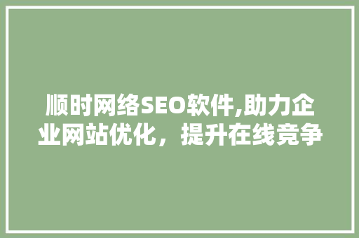 顺时网络SEO软件,助力企业网站优化，提升在线竞争力