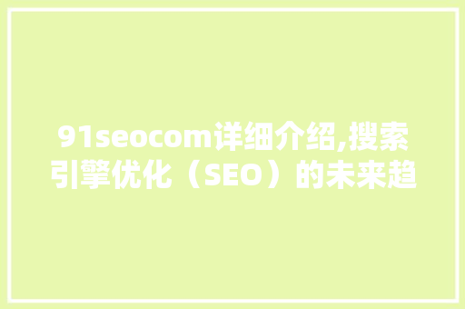 91seocom详细介绍,搜索引擎优化（SEO）的未来趋势与步骤