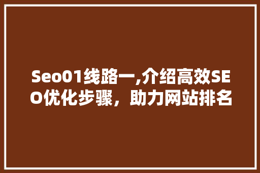 Seo01线路一,介绍高效SEO优化步骤，助力网站排名提升