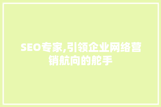 SEO专家,引领企业网络营销航向的舵手