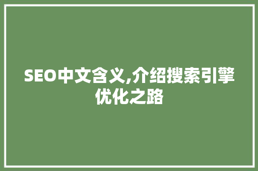 SEO中文含义,介绍搜索引擎优化之路