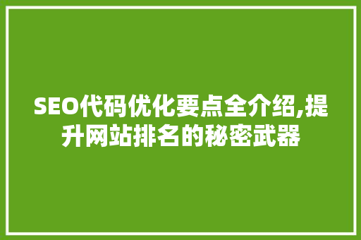 SEO代码优化要点全介绍,提升网站排名的秘密武器