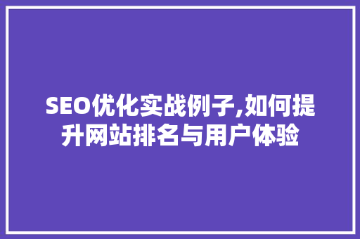 SEO优化实战例子,如何提升网站排名与用户体验