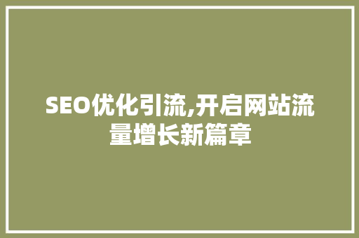 SEO优化引流,开启网站流量增长新篇章