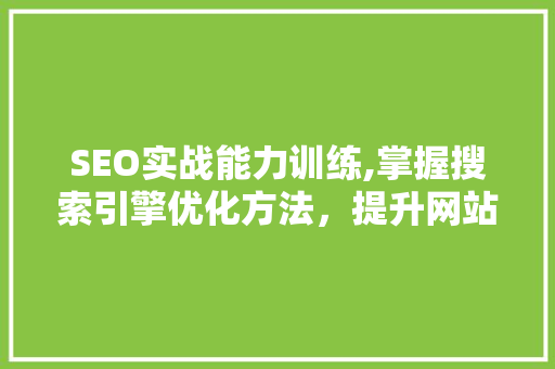 SEO实战能力训练,掌握搜索引擎优化方法，提升网站排名与流量