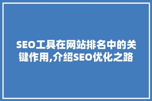SEO工具在网站排名中的关键作用,介绍SEO优化之路
