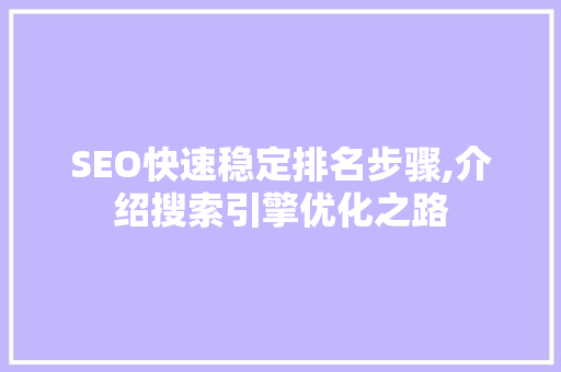SEO快速稳定排名步骤,介绍搜索引擎优化之路