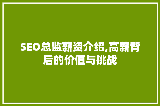 SEO总监薪资介绍,高薪背后的价值与挑战